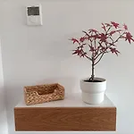 Precioso Nuevo Centrico En Apartmán