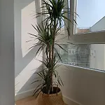 Precioso Nuevo Centrico En *