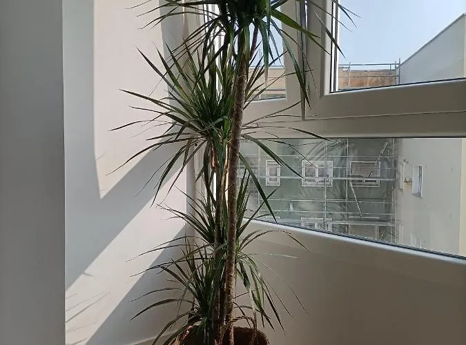 Precioso Nuevo Centrico En *