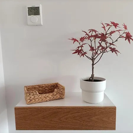 Precioso Nuevo Céntrico En Apartamento