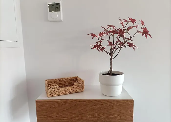 Precioso Nuevo Centrico En Apartmán